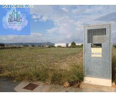 Parcela en venta Partida Olivares. Barranquet. Catadau