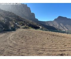 VENTA TERRENO RÚSTICO EN TEJEDA