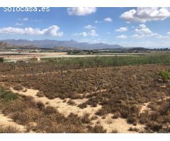Terreno en Monforte del Cid