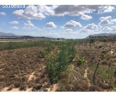 Terreno en Monforte del Cid