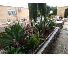 Chalet en Elche