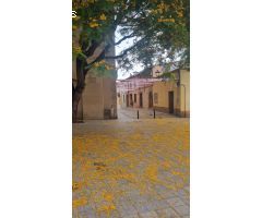 ¡PLANTA BAJA EN PURO CENTRO DE LH!