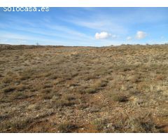 Finca rustica en Venta en Oteruelo de la Vega, Teruel