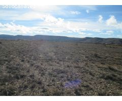Finca rustica en Venta en Oteruelo de la Vega, Teruel