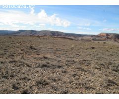 Finca rustica en Venta en Oteruelo de la Vega, Teruel