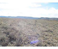 Finca rustica en Venta en Oteruelo de la Vega, Teruel