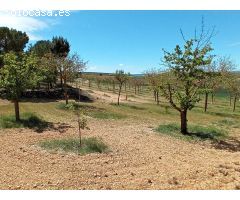 Finca rustica en Venta en Oteruelo de la Vega, Teruel