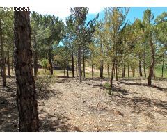 Finca rustica en Venta en Oteruelo de la Vega, Teruel