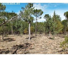 Finca rustica en Venta en Oteruelo de la Vega, Teruel