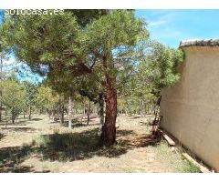Finca rustica en Venta en Oteruelo de la Vega, Teruel