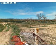 Finca rustica en Venta en Oteruelo de la Vega, Teruel