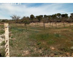 Finca rustica en Venta en Oteruelo de la Vega, Teruel