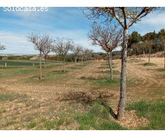 Finca rustica en Venta en Oteruelo de la Vega, Teruel