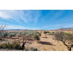 Chalet independiente con parcela
