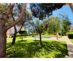 Bajo en Arenales del Sol con gran terraza y piscina