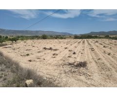 SE VENDE PARCELA EN UBEDA (PINOSO) ALICANTE