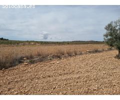 SE VENDE PARCELA CON CASA DE APERO EN PINOSO (ALICANTE)