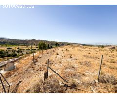SE VENDE SOLAR EN LOS OLIVOS, CASTILLÉJAR (GRANADA)