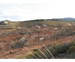 Terreno Rústico en Venta en Albuñuelas, Granada