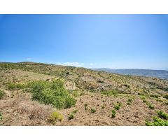 Terreno urbano y rústico en venta en Albondón (Granada)