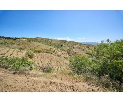 Terreno urbano y rústico en venta en Albondón (Granada)
