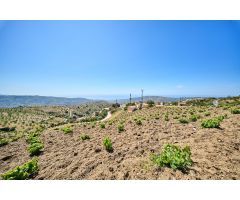 Terreno urbano y rústico en venta en Albondón (Granada)