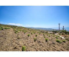 Terreno urbano y rústico en venta en Albondón (Granada)