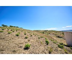 Terreno urbano y rústico en venta en Albondón (Granada)