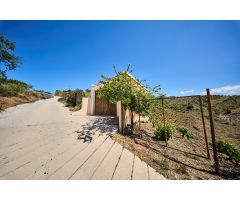 Terreno urbano y rústico en venta en Albondón (Granada)