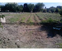 Oportunidad Única en la Huerta de Murcia! Finca con Terreno Rústico y Vivienda en Patiño