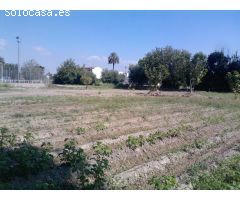 Oportunidad Única en la Huerta de Murcia! Finca con Terreno Rústico y Vivienda en Patiño