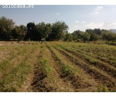 Oportunidad Única en la Huerta de Murcia! Finca con Terreno Rústico y Vivienda en Patiño