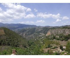 SIERRA DE LAS NIEVES  ALOZAINA-NACIMIENTO JOROX