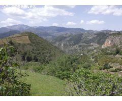 SIERRA DE LAS NIEVES  ALOZAINA-NACIMIENTO JOROX
