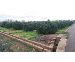 SE VENDE TERRENO RUSTICO EN MONCADA ECONÓMICO
