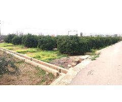 SE VENDE TERRENO RUSTICO EN MONCADA ECONÓMICO