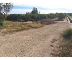 TERRENO DE NARANJOS EN VENTA EN MONCADA(ZONA ANILLO VERDE)