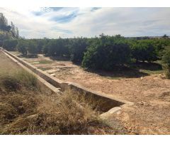 TERRENO DE NARANJOS EN VENTA EN MONCADA(ZONA ANILLO VERDE)