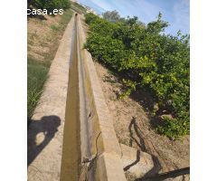 TERRENO DE NARANJOS EN VENTA EN MONCADA(ZONA ANILLO VERDE)
