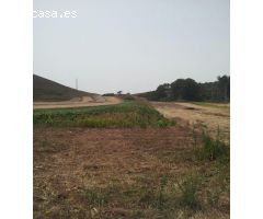 Terreno agrícola en La Esperanza - El Rosario - 9.009 m2