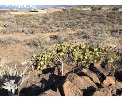 Terreno Agrícola en Tijoco Bajo