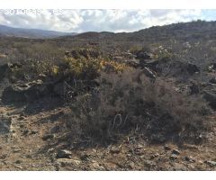 Terreno Agrícola en Tijoco Bajo