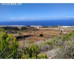 Venta de terreno agrícola ganadero