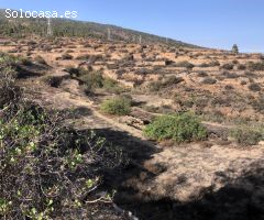 Terreno en el Escobonal