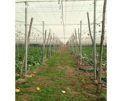 Terreno con Invernadero