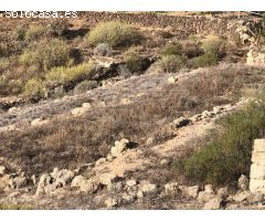 Terreno subida del Tablado al Escobonal