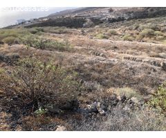 Terreno subida del Tablado al Escobonal