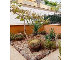 TWO-BEDROOM APARTMENT IN TORVISCAS ALTO FOR SALE