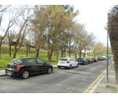cl EUCALIPTO TARRAGONA