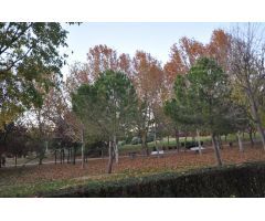 ALQUILER PRECIOSO PISO EN LA ZARZUELA !!